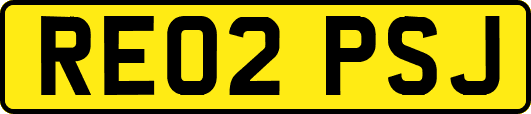 RE02PSJ