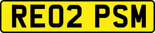 RE02PSM