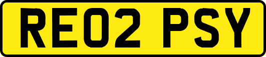 RE02PSY