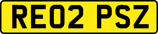 RE02PSZ