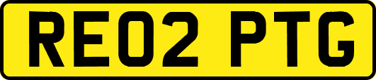 RE02PTG