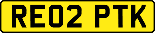 RE02PTK