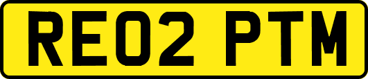 RE02PTM