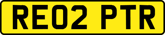 RE02PTR