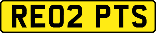 RE02PTS