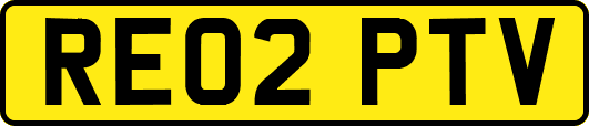 RE02PTV