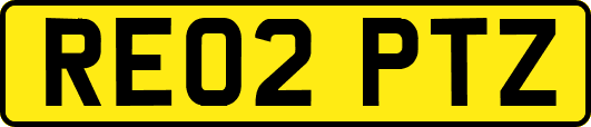 RE02PTZ
