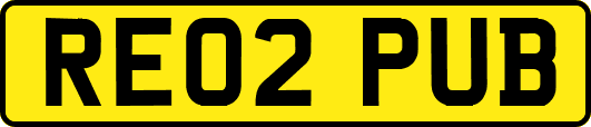 RE02PUB