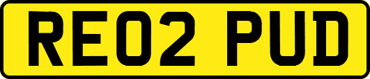 RE02PUD