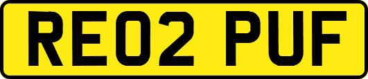 RE02PUF