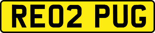 RE02PUG