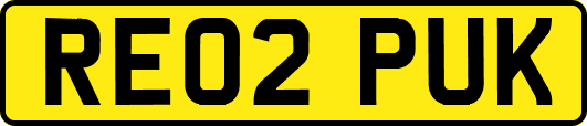 RE02PUK
