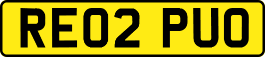 RE02PUO