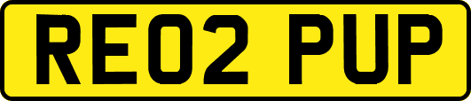 RE02PUP