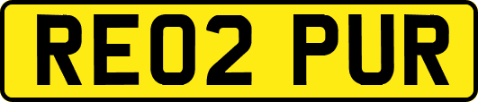 RE02PUR