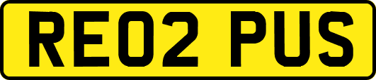 RE02PUS
