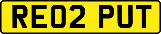 RE02PUT