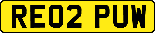 RE02PUW