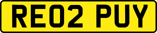 RE02PUY