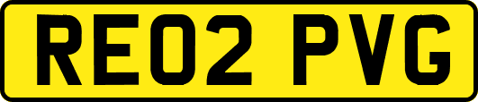 RE02PVG