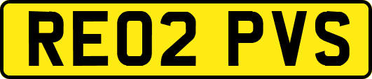 RE02PVS