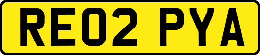 RE02PYA