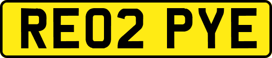 RE02PYE