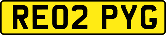 RE02PYG
