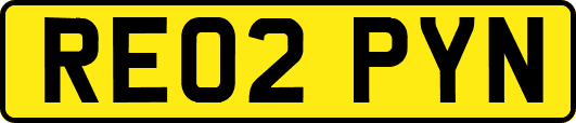 RE02PYN