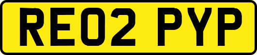 RE02PYP