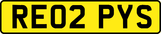 RE02PYS