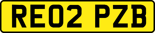 RE02PZB