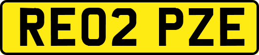 RE02PZE