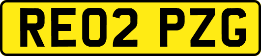 RE02PZG