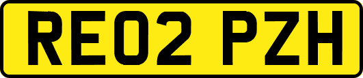 RE02PZH