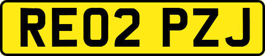 RE02PZJ