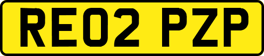 RE02PZP