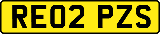 RE02PZS