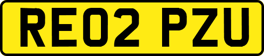 RE02PZU