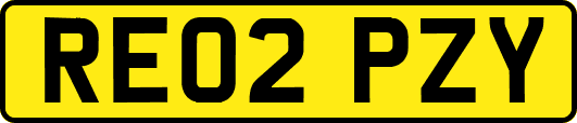 RE02PZY