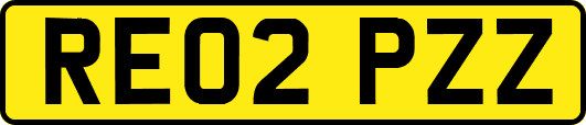 RE02PZZ