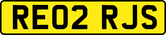 RE02RJS