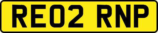 RE02RNP