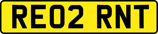 RE02RNT