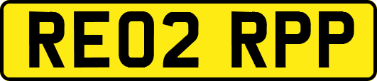 RE02RPP