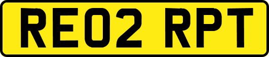 RE02RPT