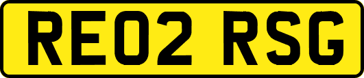 RE02RSG