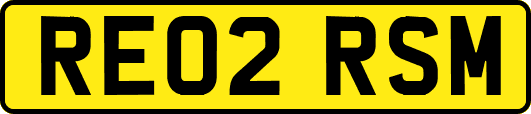 RE02RSM