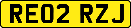 RE02RZJ