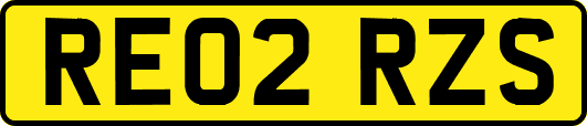 RE02RZS